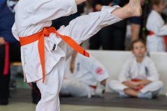 2022_11_20_turniej_karate-38